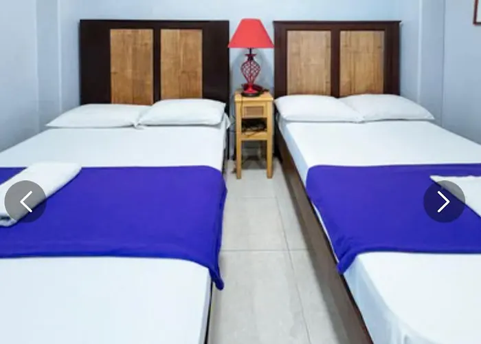 Hotel Le Carmen